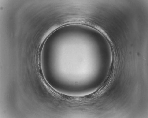 X0000054451101200507291310