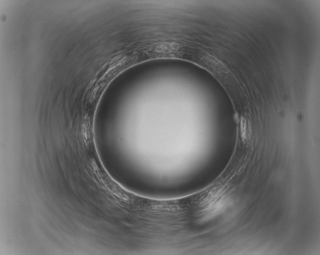 X0000054451107200507291309