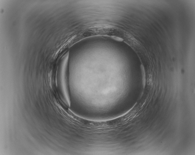 X0000054451108200507291309