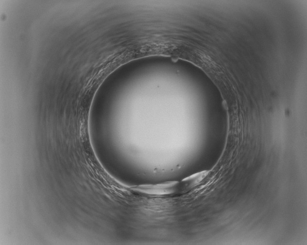 X0000054451109200507291309