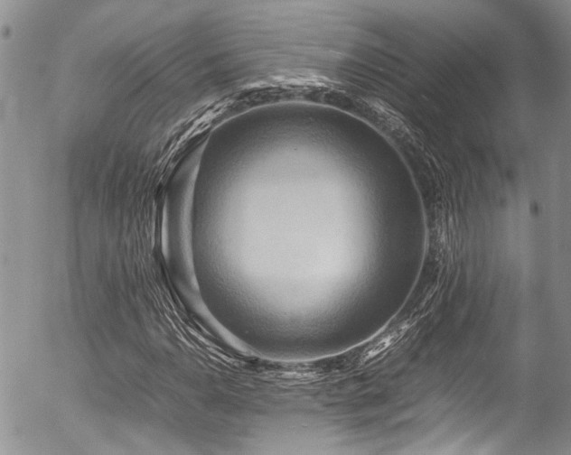 X0000054451110200507291309