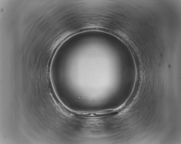 X0000054451129200507291310