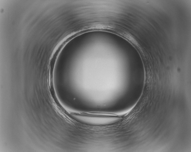 X0000054451132200507291310