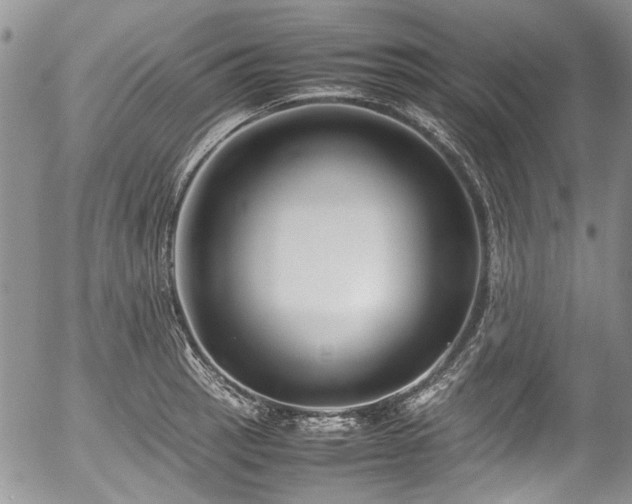 X0000054451137200507291310