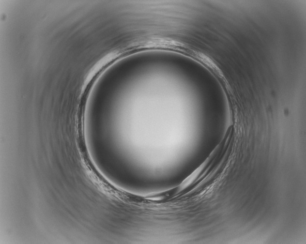 X0000054451138200507291310