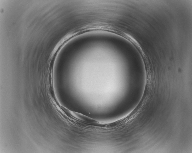 X0000054451146200507291310
