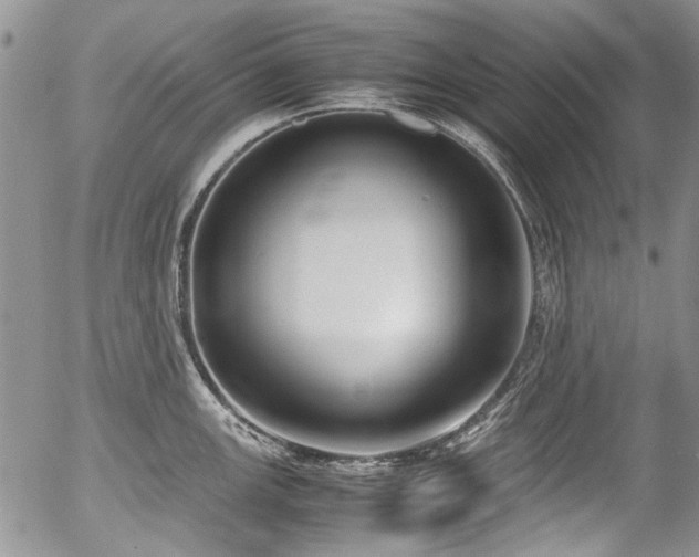 X0000054451147200507291310