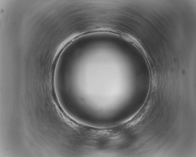 X0000054451149200507291310