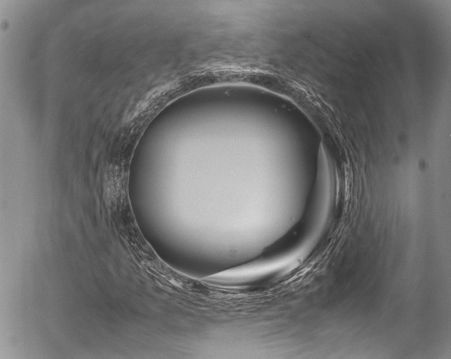 X0000054451157200507291309