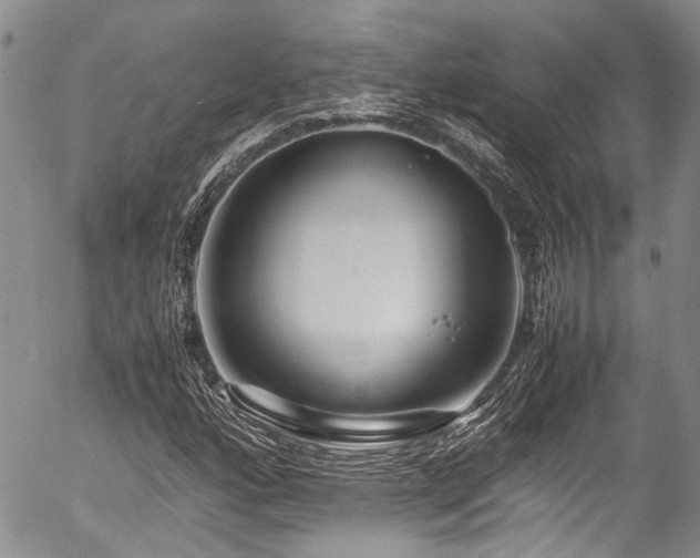 X0000054451160200507291309