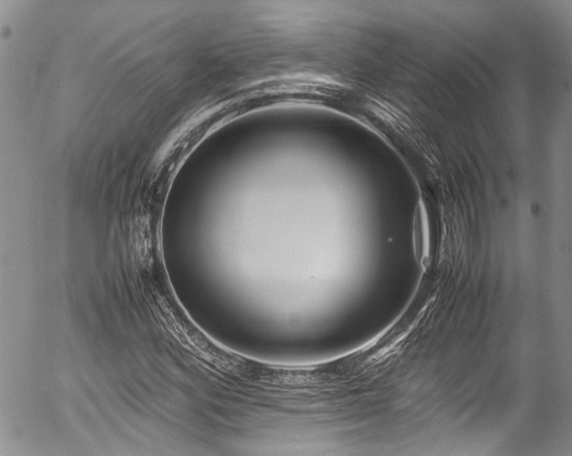 X0000054451164200507291309