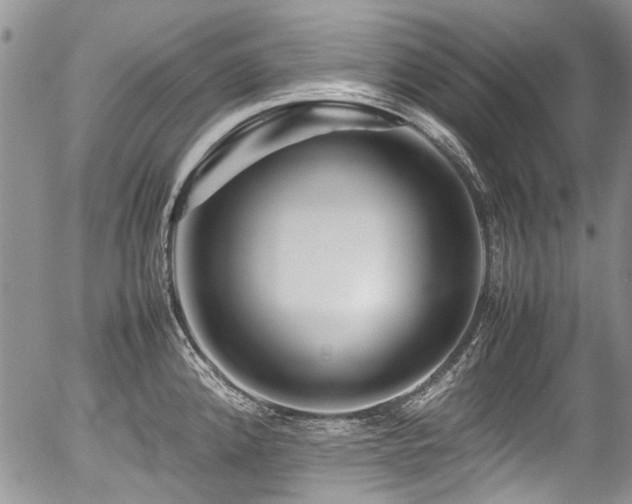 X0000054451192200507291309
