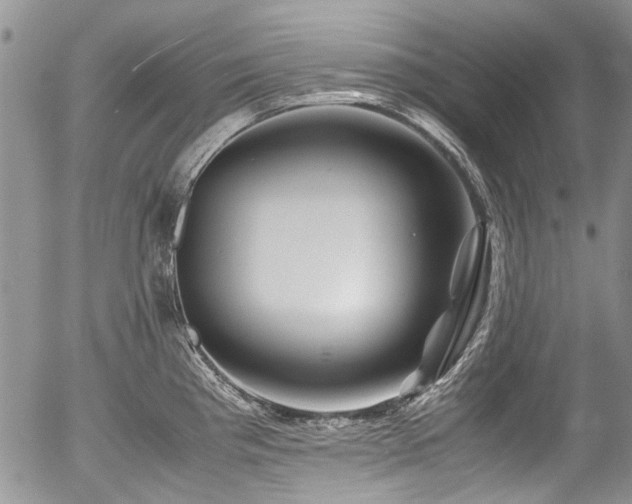 X0000054451193200507291309