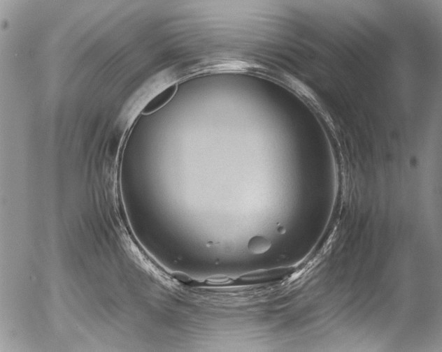 X0000054451194200507291309
