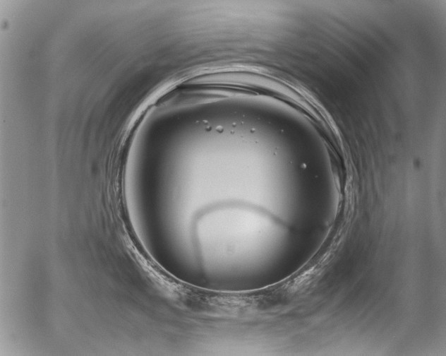 X0000054451197200507291309