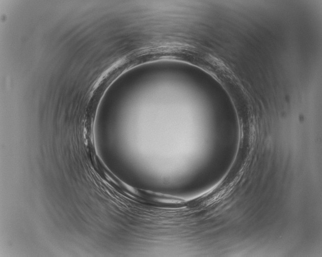 X0000054451210200507291308