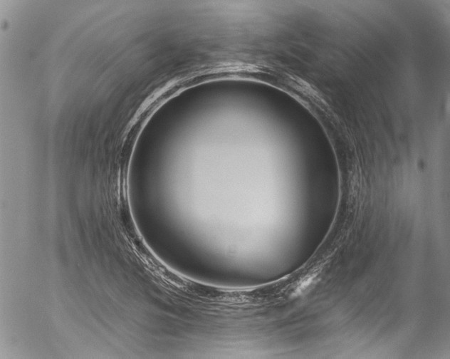 X0000054451220200507291308