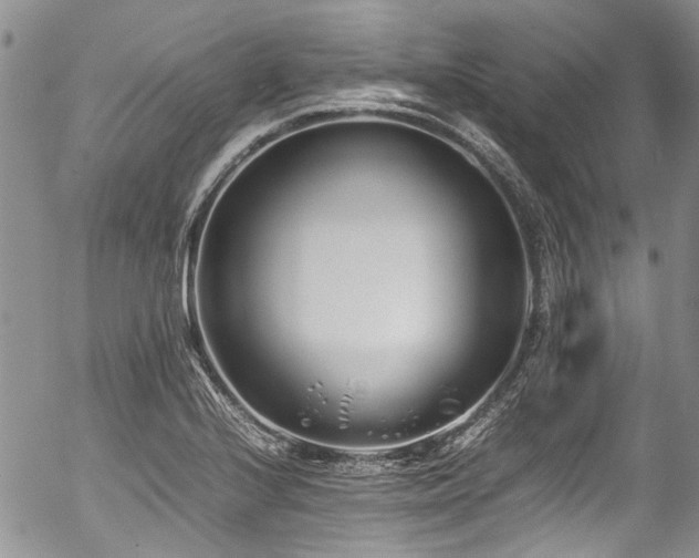 X0000054451224200507291308