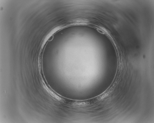 X0000054451243200507291308