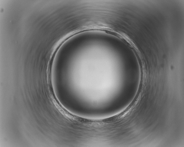 X0000054451246200507291309