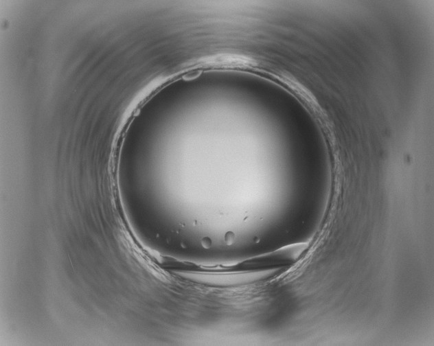 X0000054451248200507291309