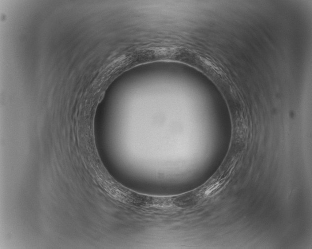 X0000054451249200507291308