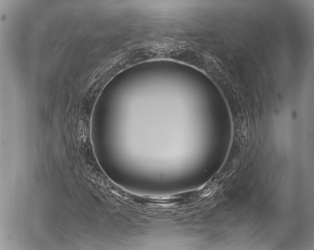 X0000054451253200507291308