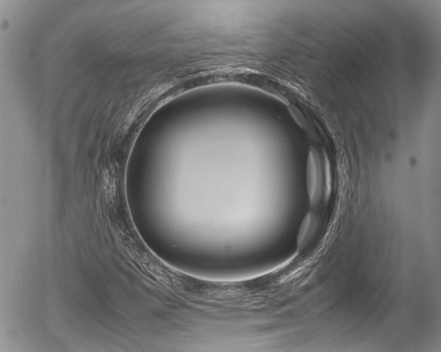 X0000054451257200507291308