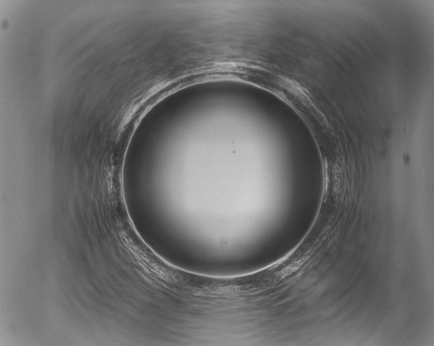 X0000054451260200507291308
