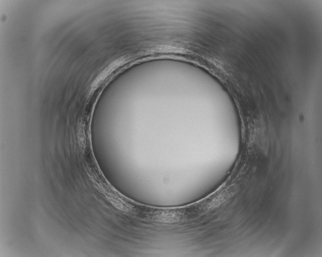 X0000054451266200507291307