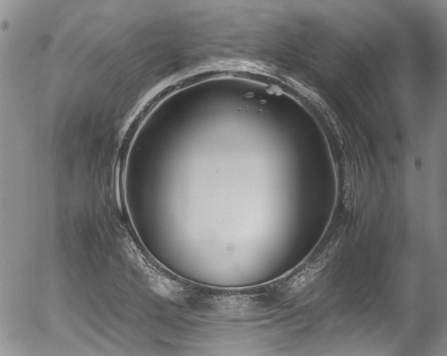 X0000054451272200507291307