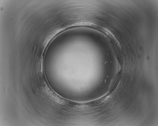 X0000054451276200507291307