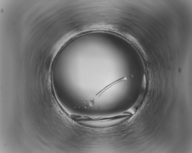 X0000054451288200507291307