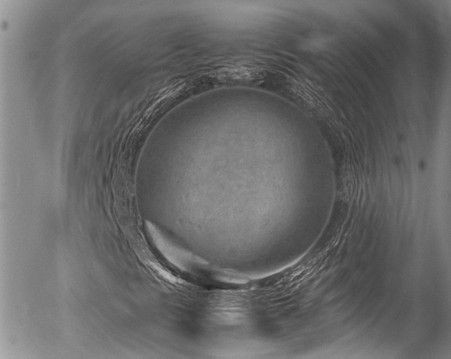 X0000054451297200507291306