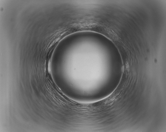 X0000054451300200507291306