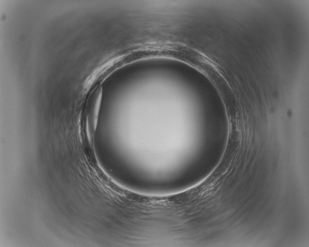 X0000054451304200507291306