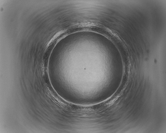 X0000054451306200507291306