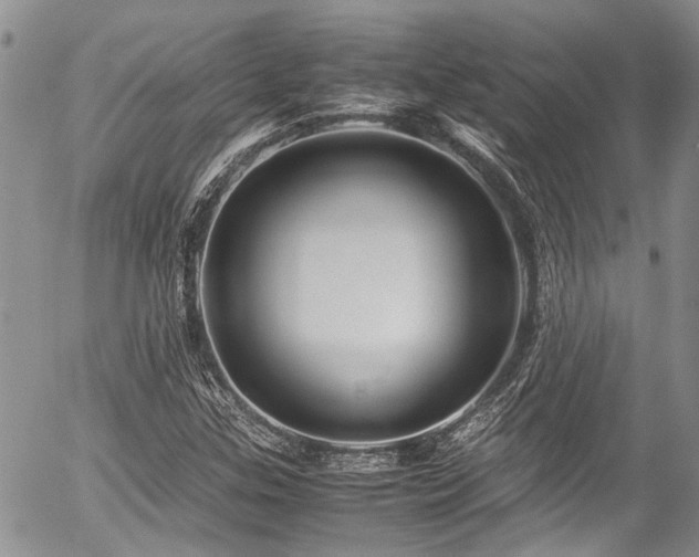 X0000054451307200507291306