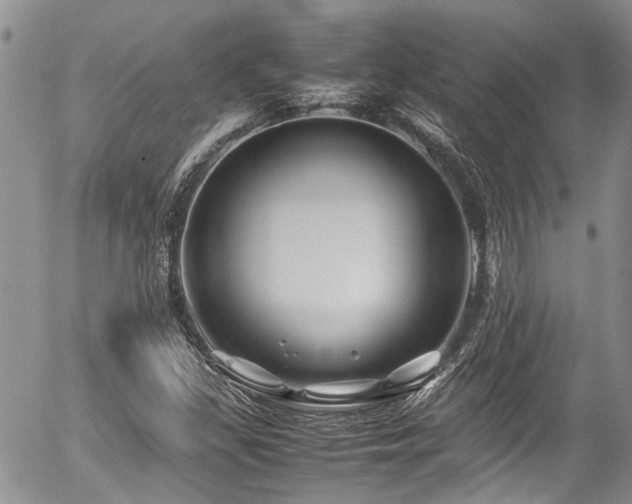 X0000054451309200507291306