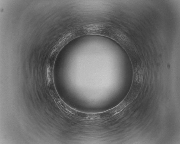 X0000054451346200507291306