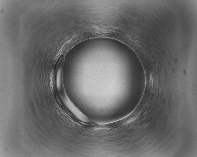 X0000054451348200507291306