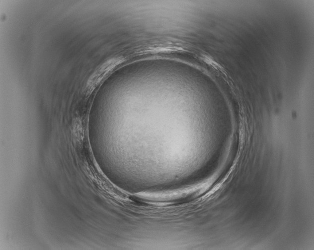 X0000054451353200507291306