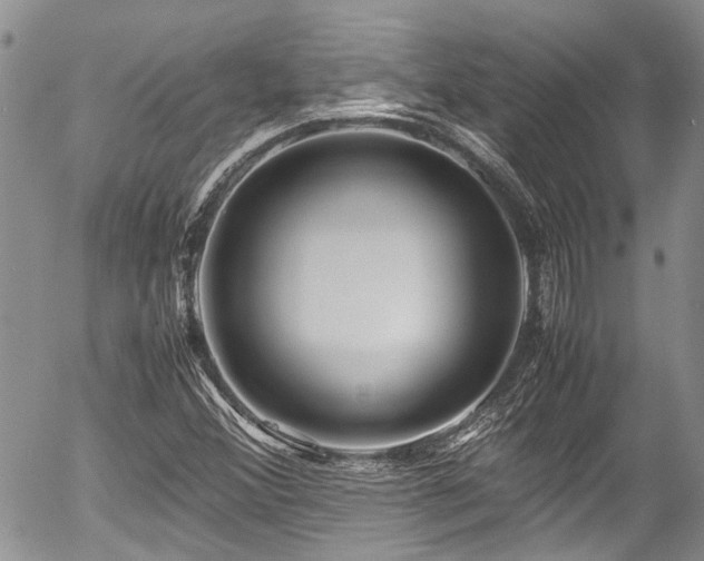 X0000054451356200507291306