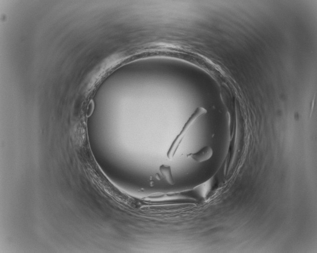 X0000054451363200507291306
