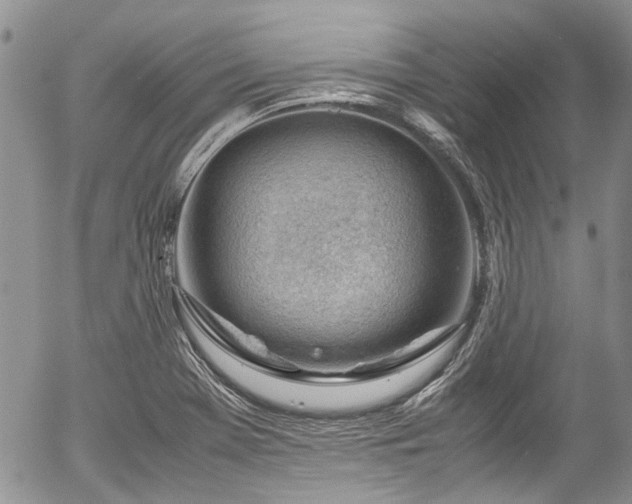 X0000054451369200507291306