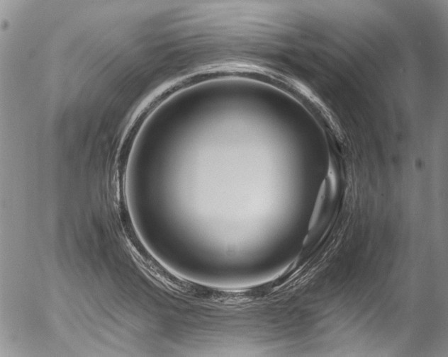 X0000054451372200507291306