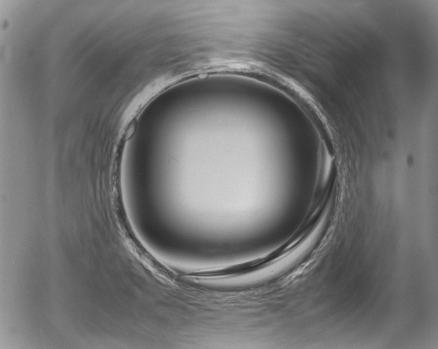X0000054451373200507291306