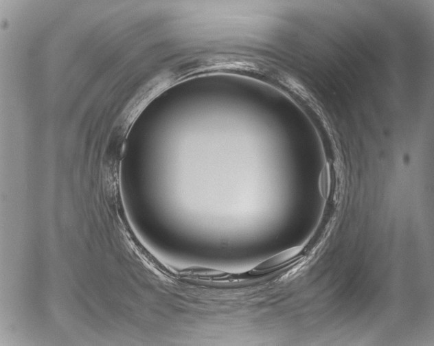 X0000054451377200507291306