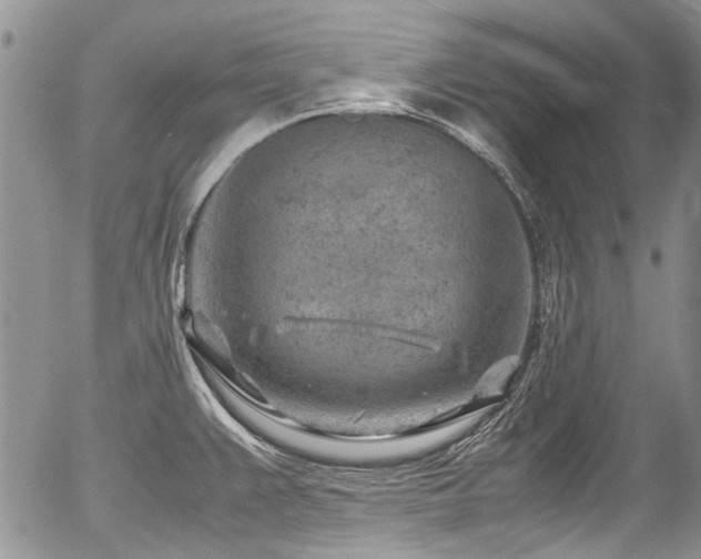 X0000054451383200507291306