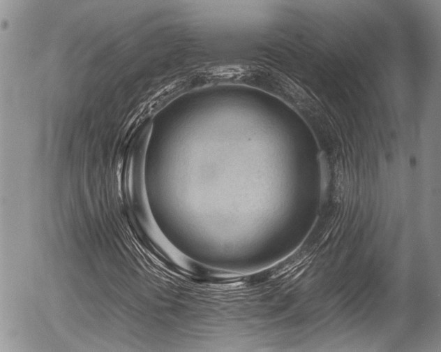 X0000054451394200507291305